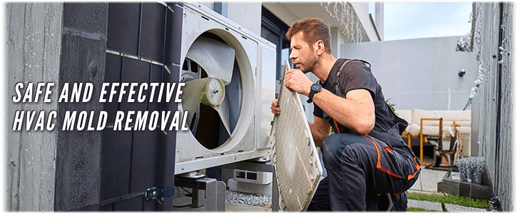HVAC Mold Removal Humble TX